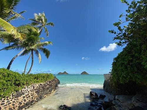 現地jcbスタッフが撮影 ハワイを感じる景色 ビーチ 虹編 スタッフブログ たびらば 旅ｌｏｖｅｒ 海外旅行情報サイト