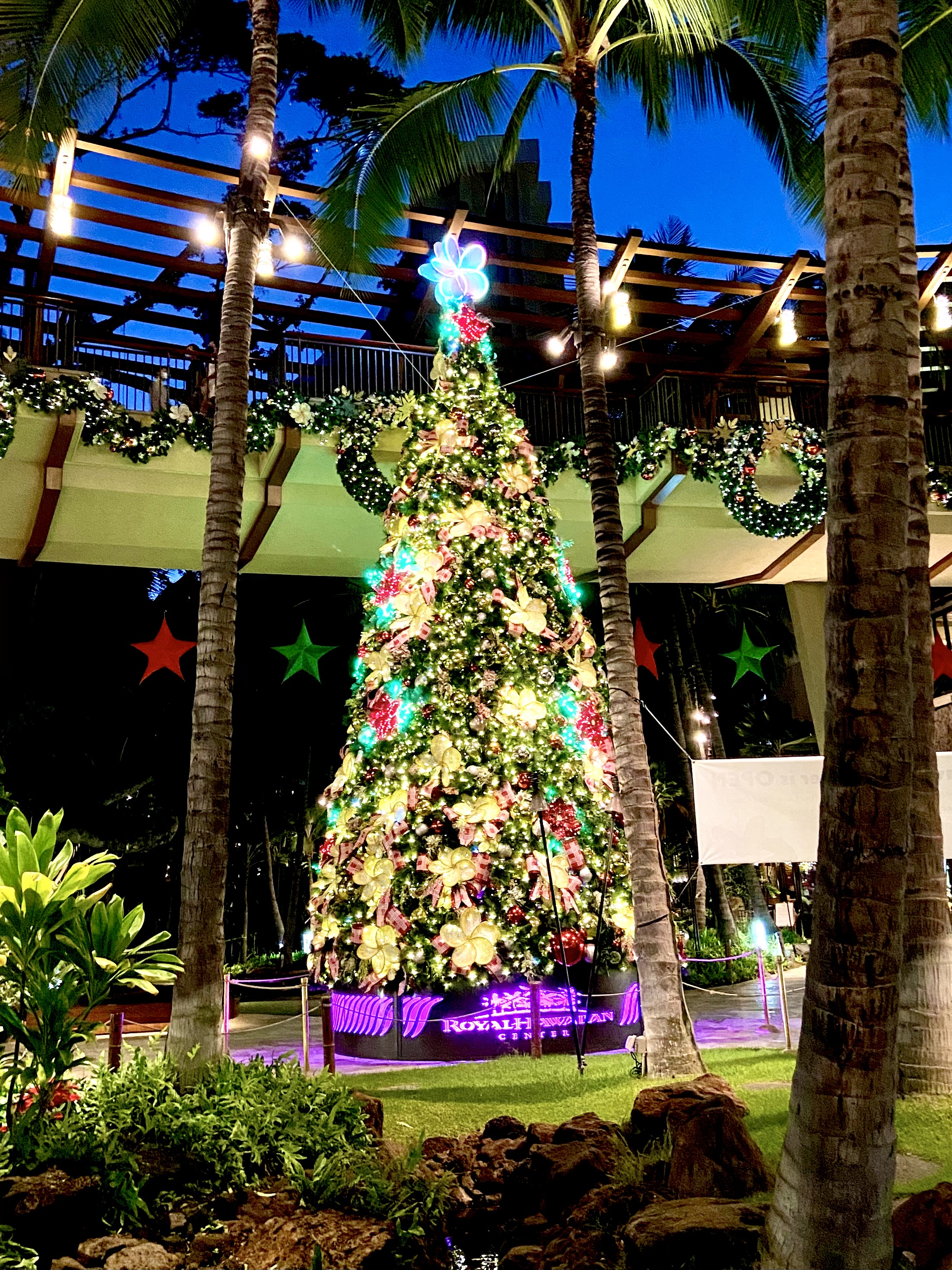 Jcbプラザ ラウンジ ホノルルのスタッフが撮影 ハワイのクリスマス編 スタッフブログ たびらば 旅ｌｏｖｅｒ 海外旅行情報サイト