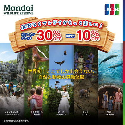 シンガポール　マンダイCP