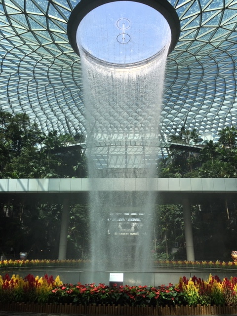 ポケモン センター シンガポール でシンガポール限定品をお土産に スタッフブログ たびらば 旅ｌｏｖｅｒ 海外旅行情報サイト